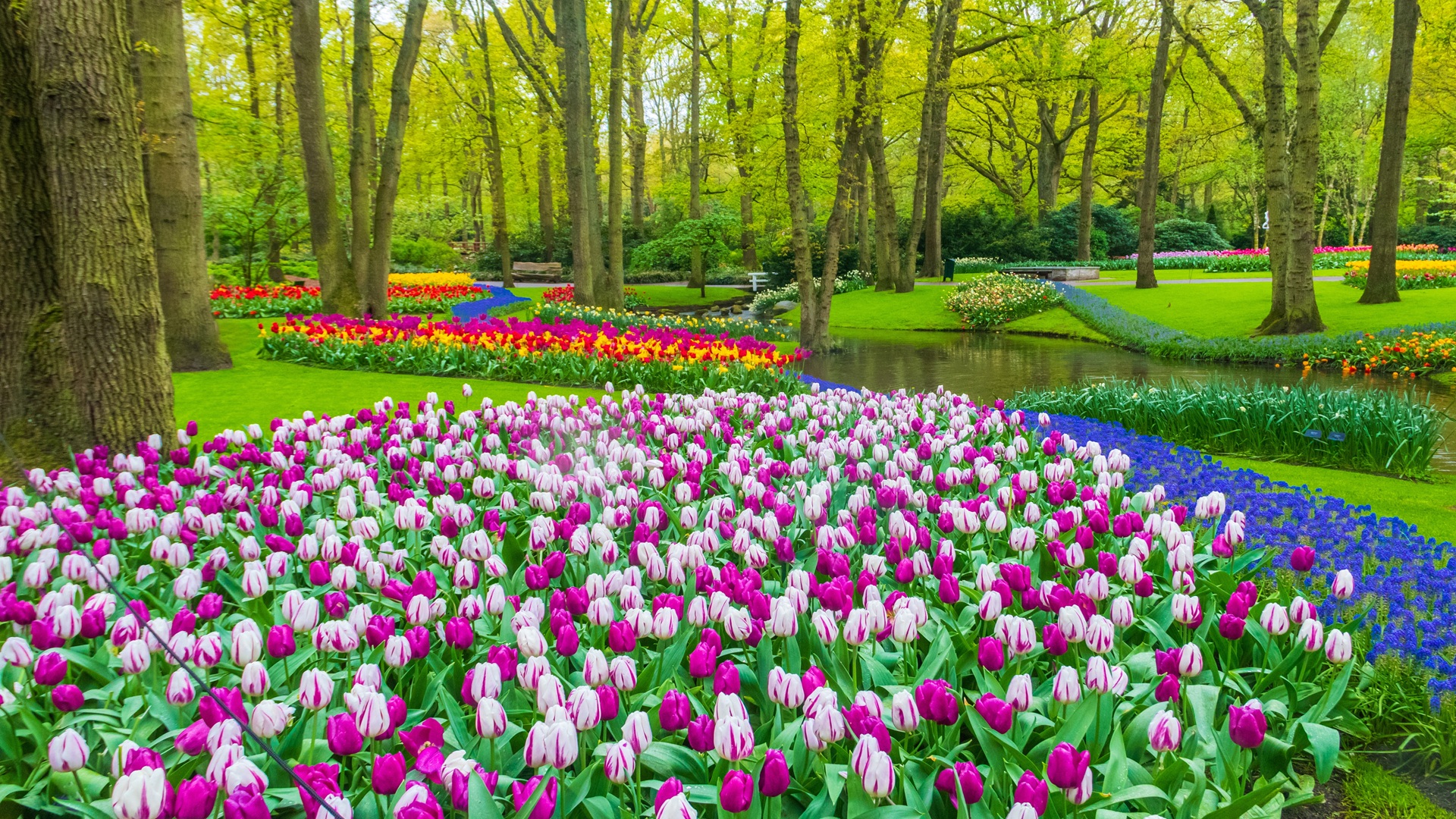 product-13d/10n-rotama-beautiful-scenery-of-west-europe-&-keukenhoff-banner