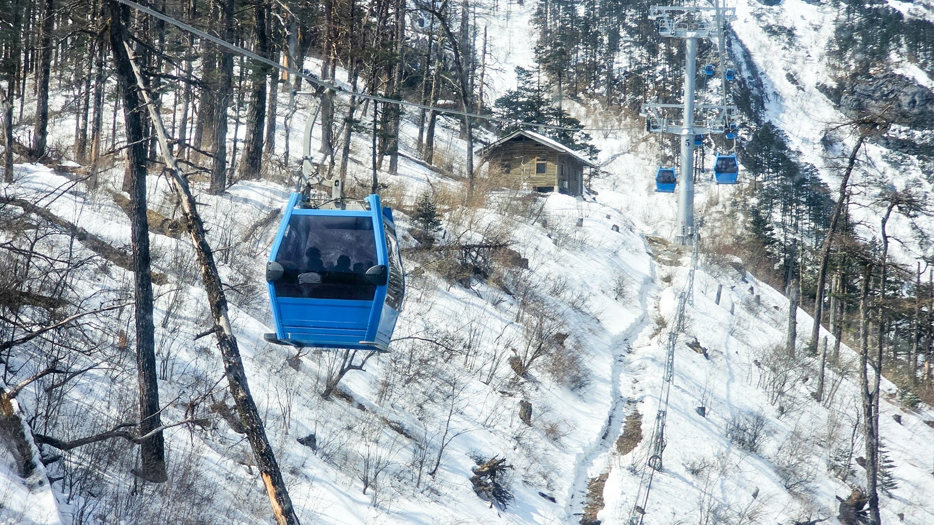 product-12d/11n-leisure-china-yunnan-&-guizhou-cherry-blossom-banner