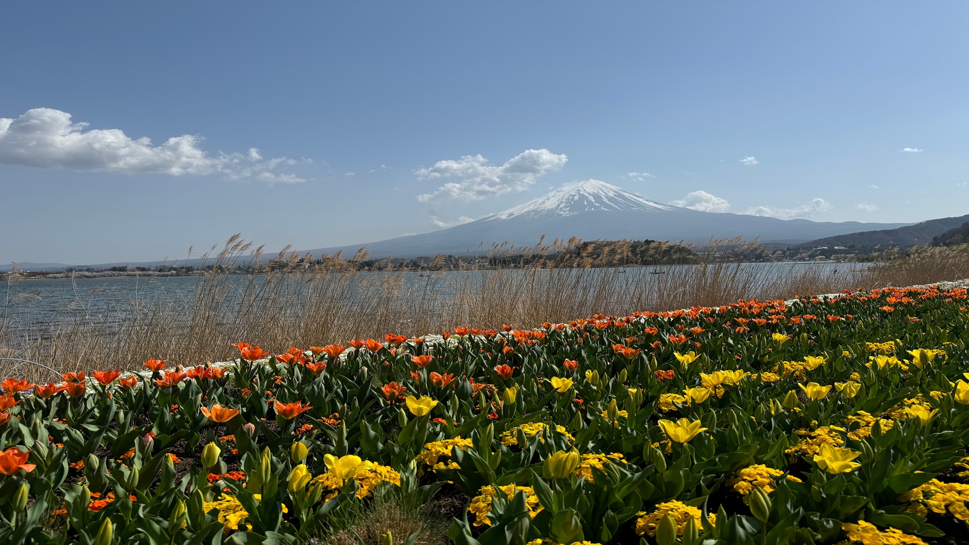 product-7d/5n-leisure-japan-spring-flower-fest-&-gotemba-premium-outlet-banner
