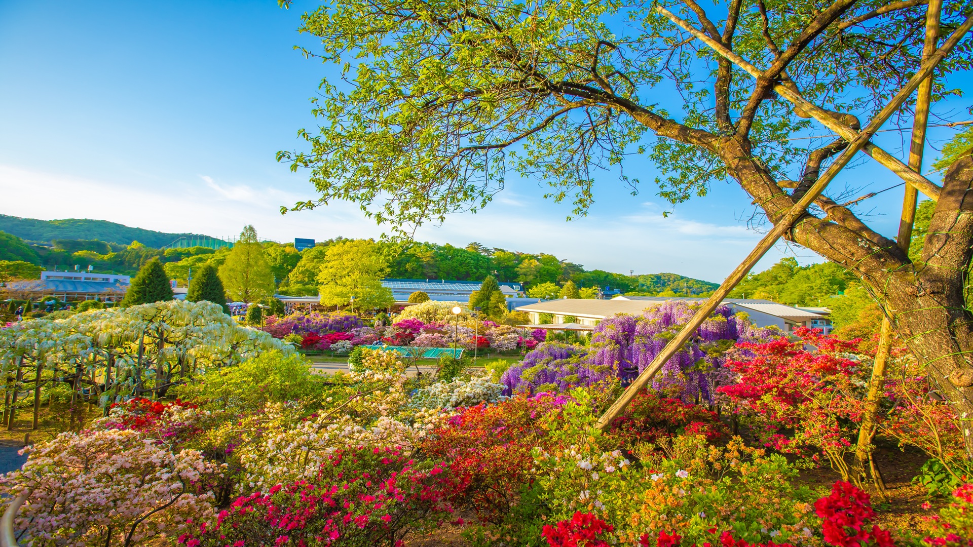 product-8d/5n-leisure-japan-tohoku,-ginzan-onsen-&-strawberry-picking-experience-banner