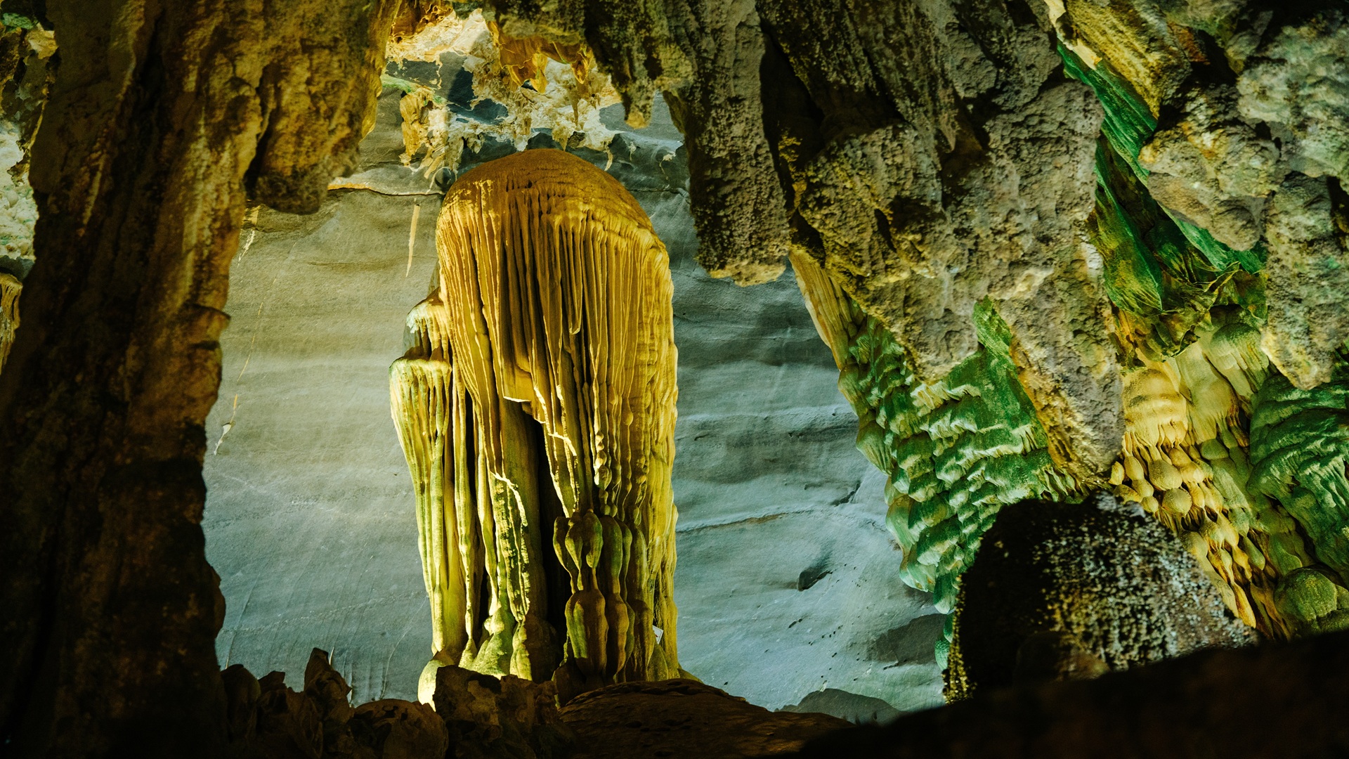 product-8d/6n-wita-tasmania,-wild-seafood-adventure-&-truffle-hunt-banner