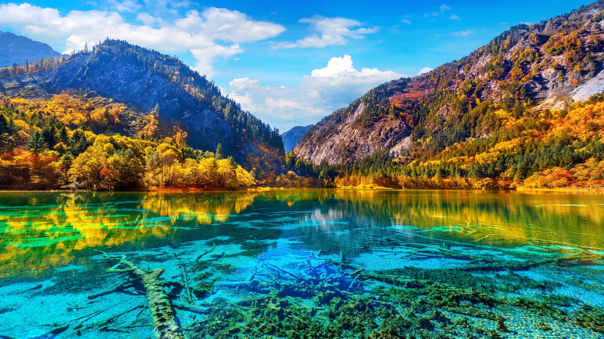 product-12d/10n-wita-beautiful-jiuzhaigou-&-zhangjiajie-banner