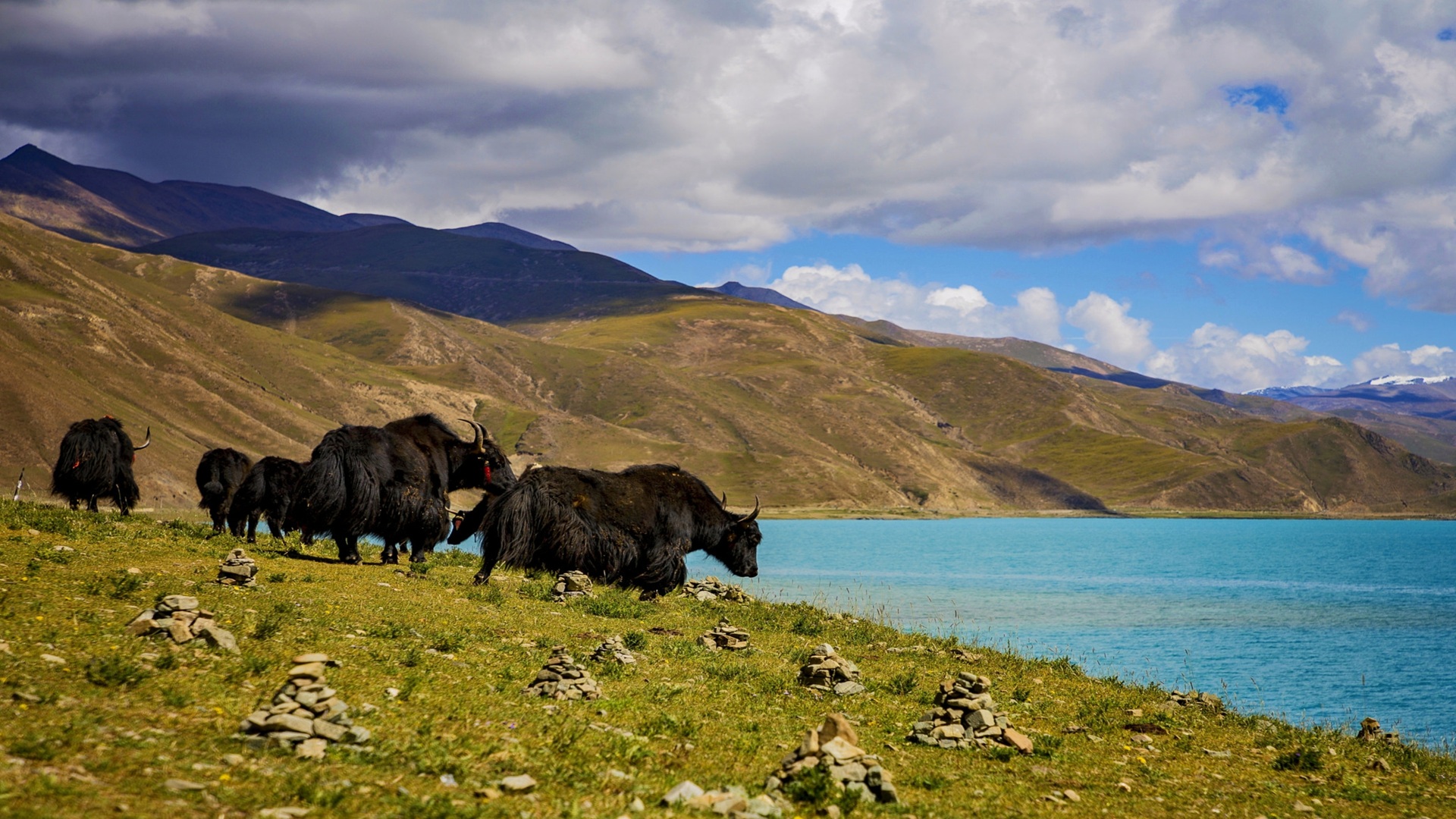 product-9d/7n-leisure-china-tibet-&-everest-base-camp-banner