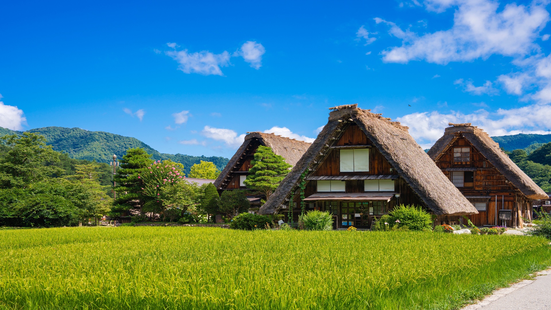 product-7d/5n-leisure-japan-shirakawago,-sea-of-clouds-&-nara-deer-banner