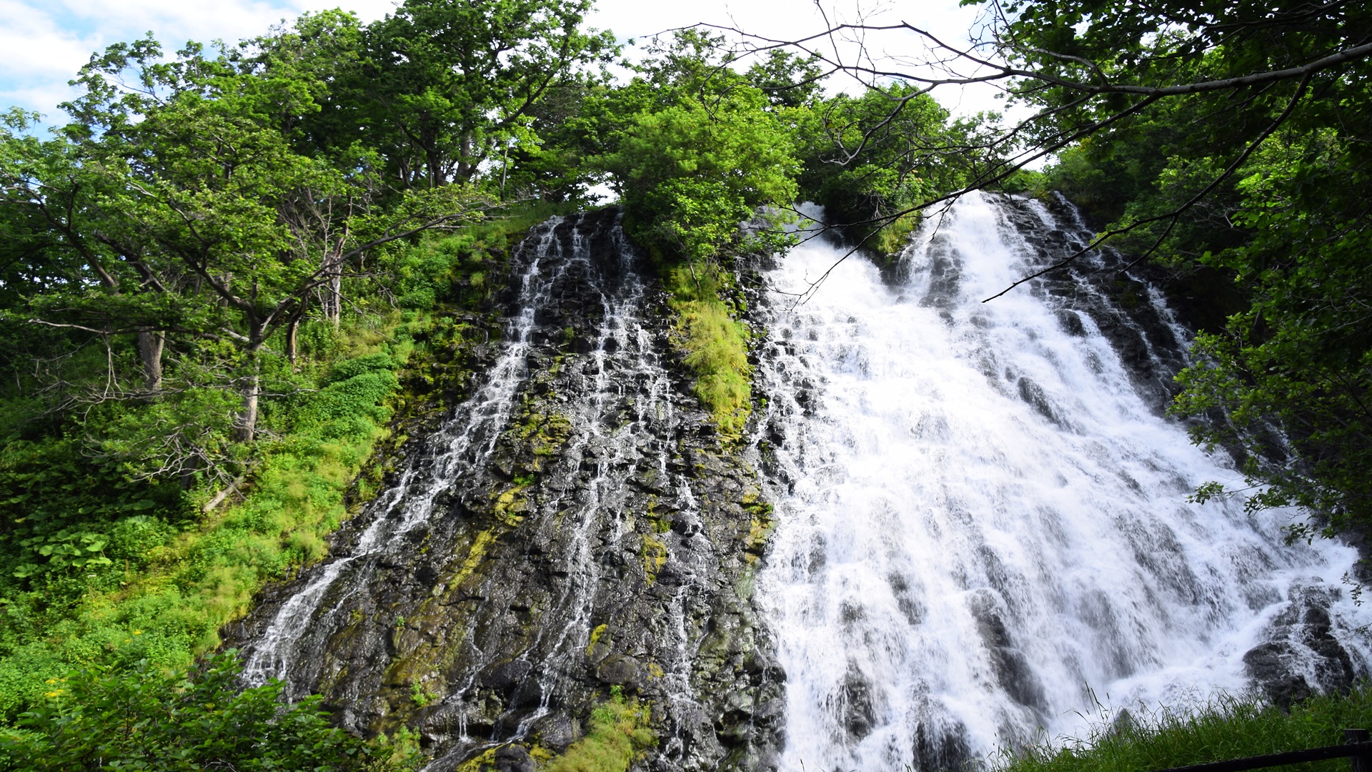 product-8d/6n-wita-japan-hokkaido,-whale-watching-&-four-seasons-hill-banner