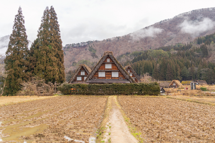 product-8d/6n-leisure-japan-shirakawago-&-gotemba-banner