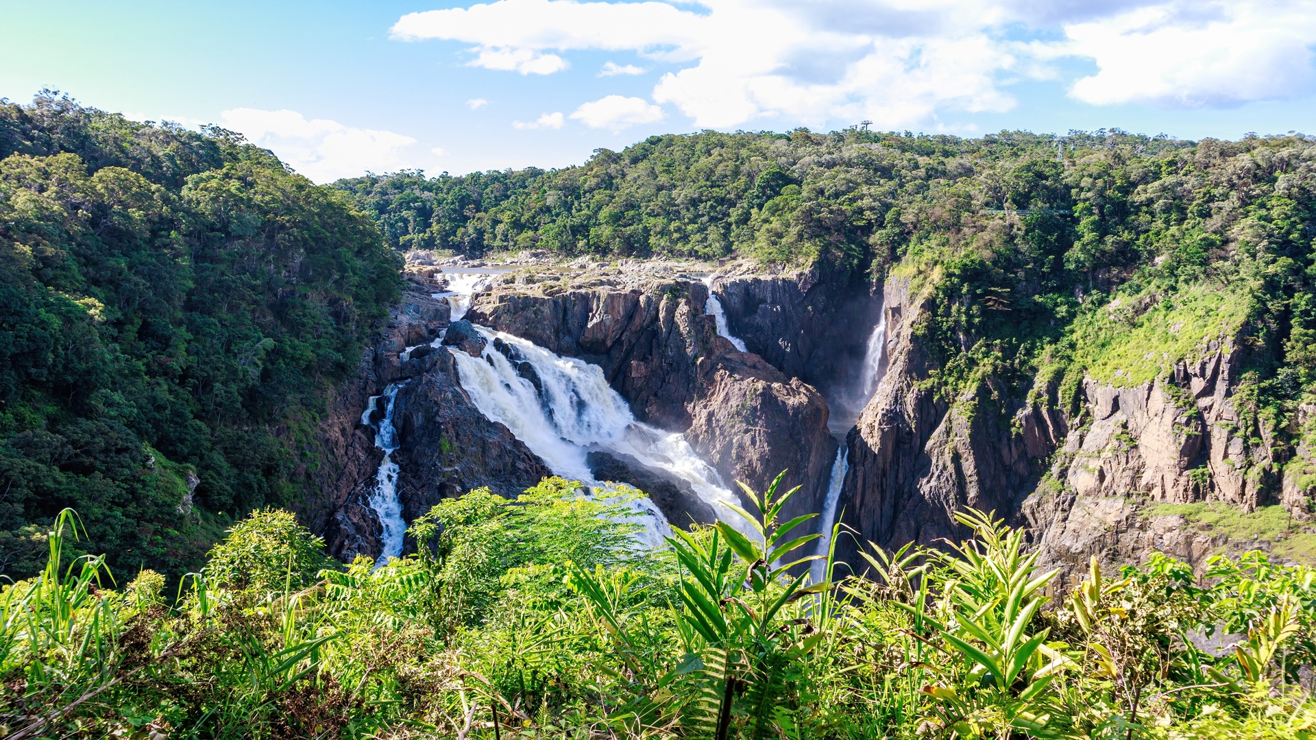 product-8d/6n-wita-australia-cairns,-getaway-to-wild-life-&-tropical-adventure-banner
