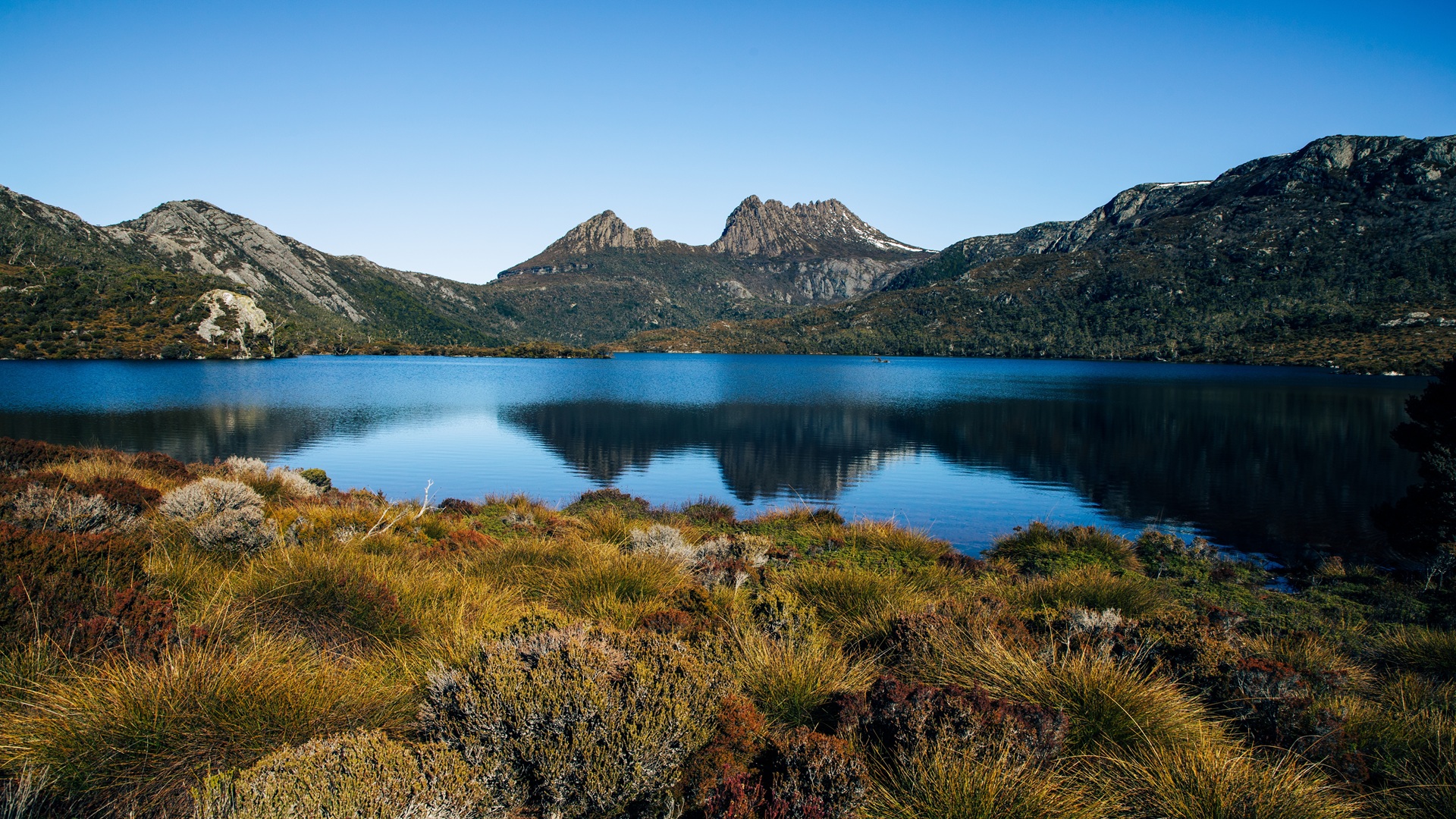 product-9d/7n-wita-tasmania,-wild-seafood-adventure-&-lavender-farm-banner