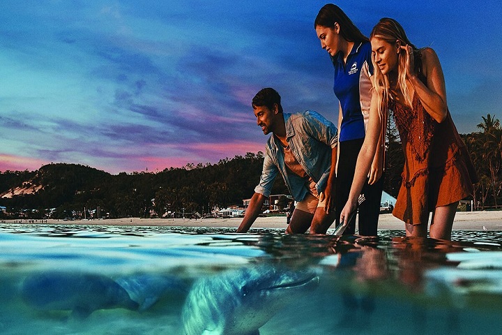 product-8d/6n-australia,-tangalooma-&-blue-mountain-by-sq-banner
