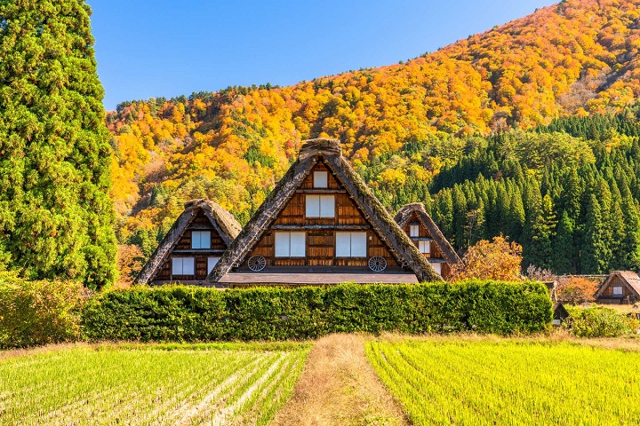 product-9d/6n-wita-japan-alpine-shirakawa-go-&-shibazakura-festival-banner