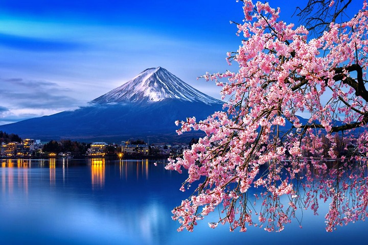 product-8d/5n-wita-japan-sakura-&-theme-park-banner