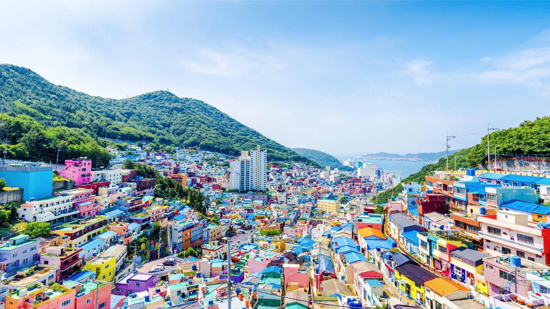 product-7d/5n-best-deal-korea---busan---daegu-banner