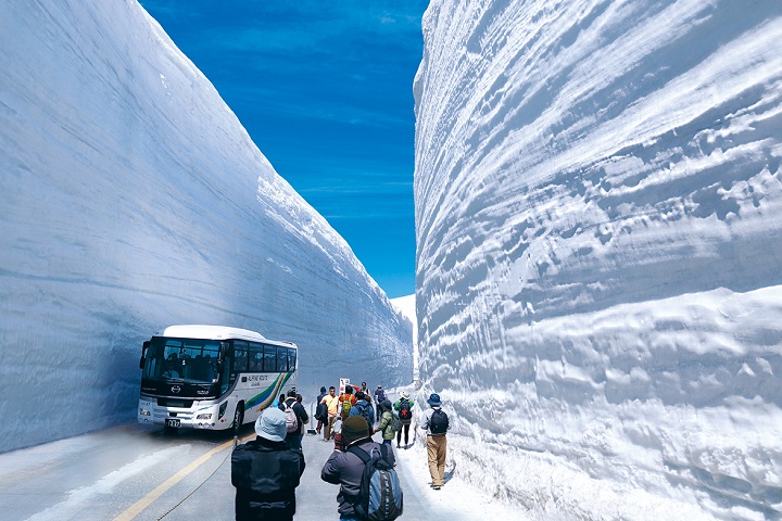 product-8d/6n-rotama-japan-alpine-route-&-shibazakura-banner