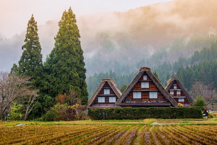 product-8d/6n-rotama-japan-sakura,-shirakawago--banner