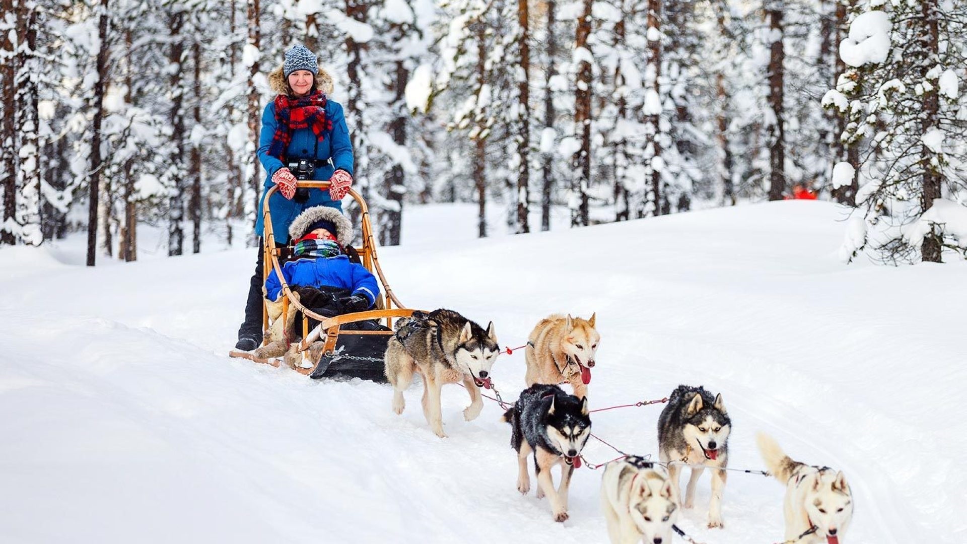 product-11d/8n-wita-winter-experience-in-lofoten-&-swedish-lapland-banner