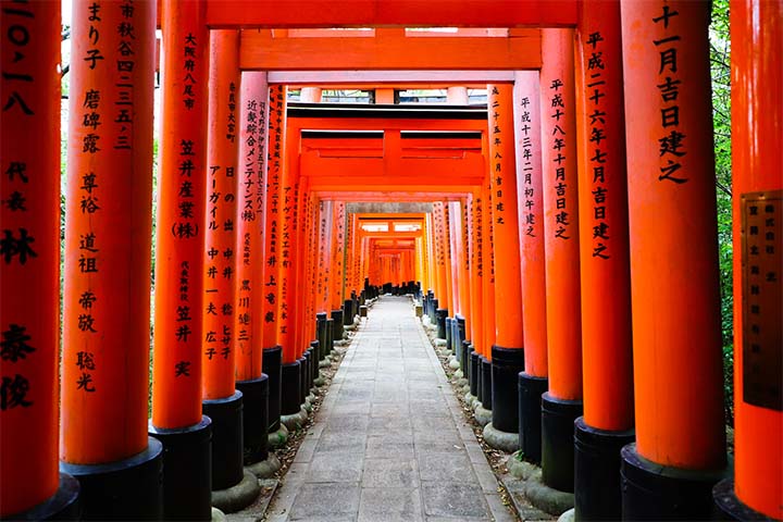 product-8d/6n-best-deal-winter-japan-theme-park-&-illumination-festival-by-cx-banner