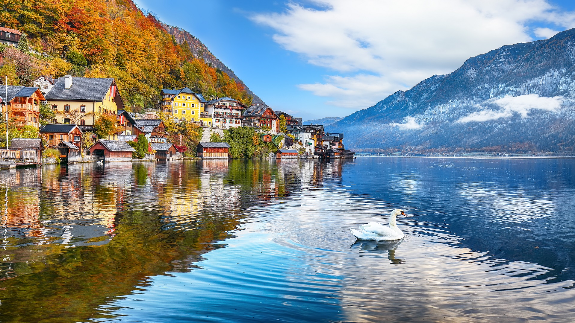 product-11d/8n-leisure-eastern-europe,-bastei-canyon-&-hallstatt-banner