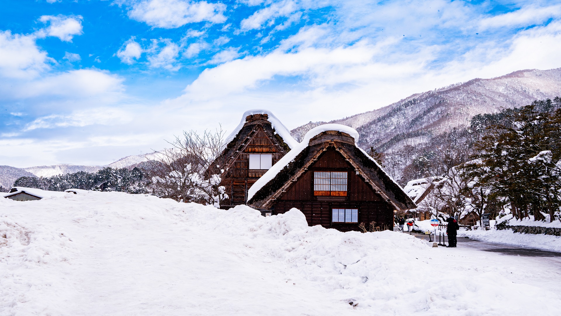 product-8d/6n-leisure-japan-ski-resort,-shirakawago-&-winter-illuminations-banner