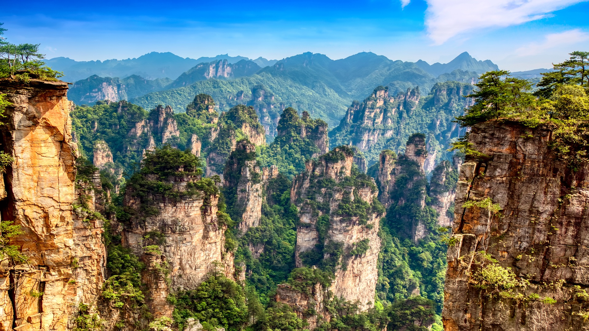 product-11d/10n-leisure-china-chengdu,-chongqing-&-zhangjiajie-banner