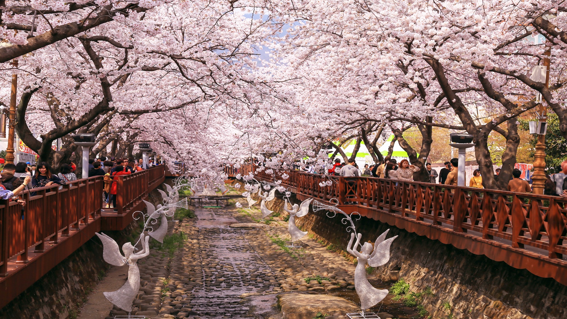 product-8d/5n-leisure-korea-cherry-blossom-busan,-gyeongju-&-lotte-world-banner