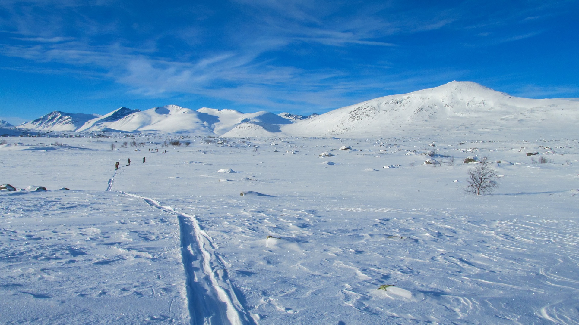product-10d/7n-leisure-scandinavia,-husky-ride-&-snowshoeing-in-abisko-banner