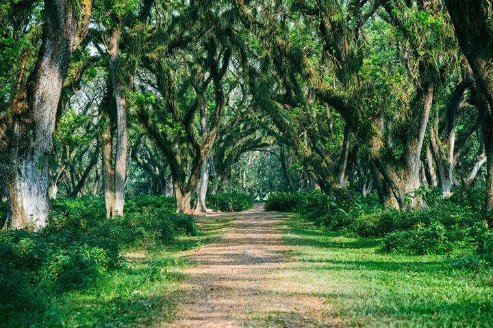 otherPackage tour image