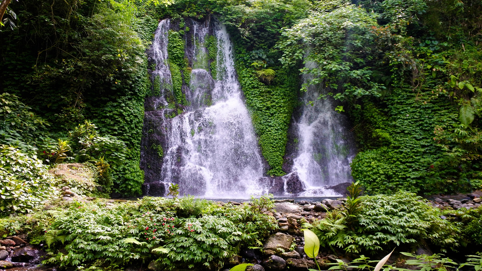 product-3d/2n-banyuwangi-package-banner