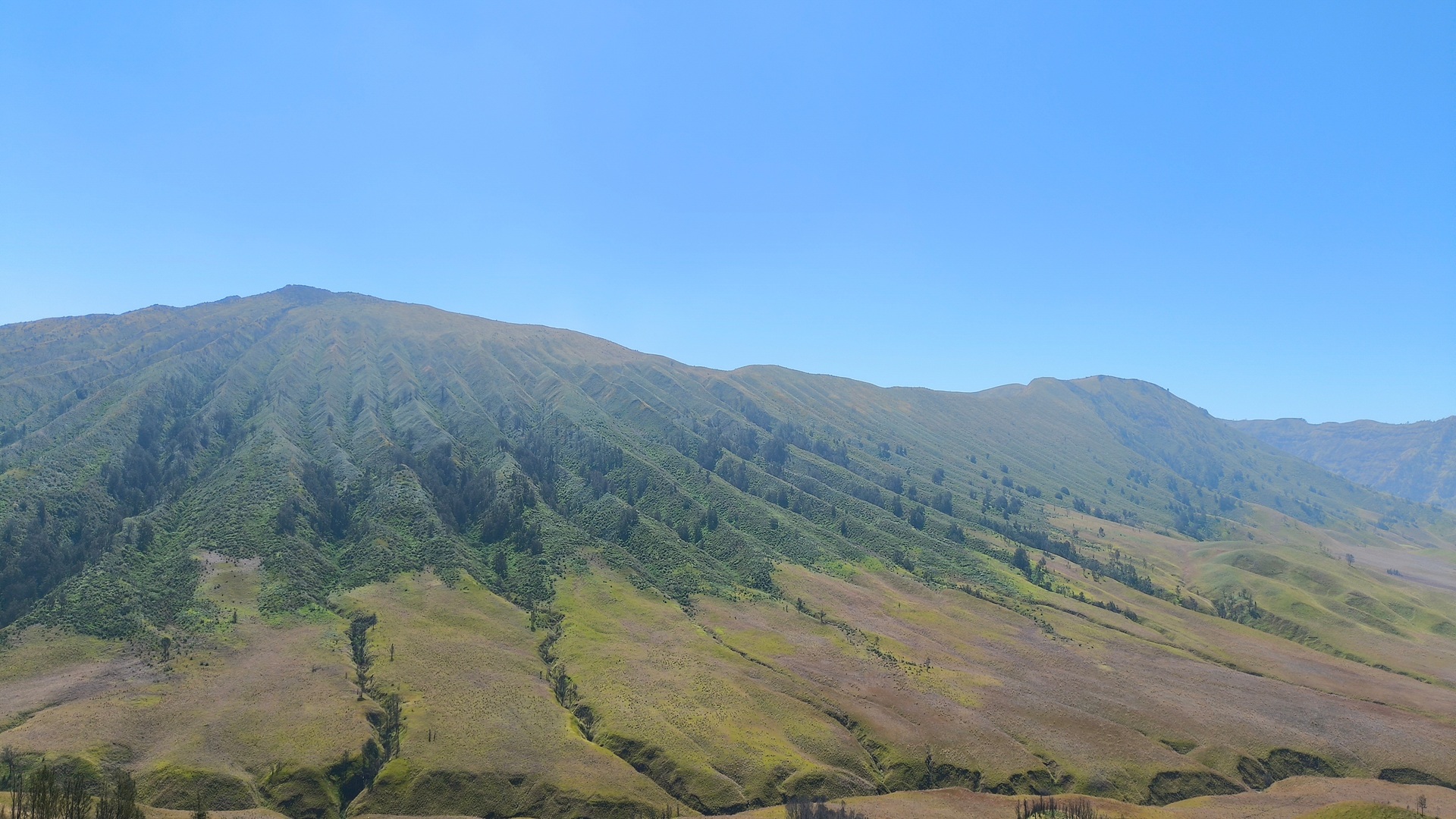 product-2d/1n-bromo-package-banner