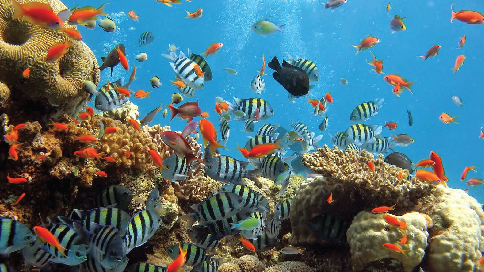 product-4-days-manado-bunaken-minahasa-package-banner