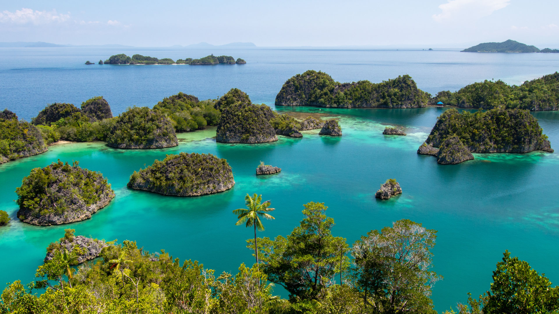 product-5-days-piaynemo--kabui-bay-raja-ampat-package-banner